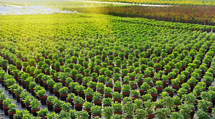 Highland Grove Landscaping & Farm