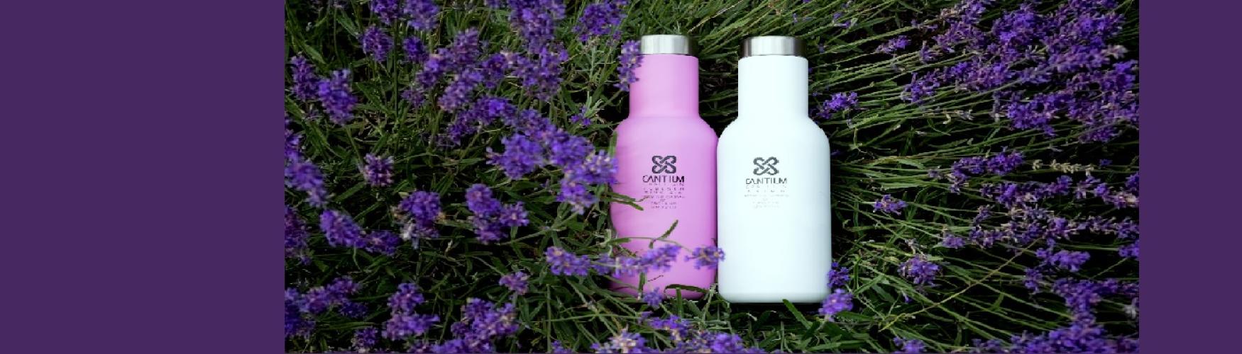 Cantium Spirit LTD
