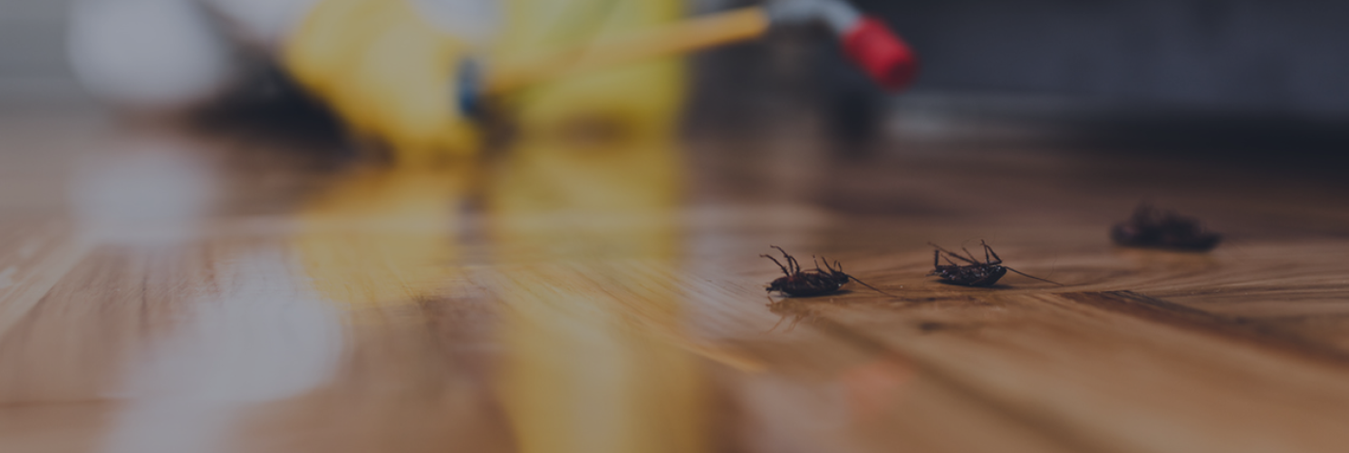 Mr Pest Control Environmental Services
