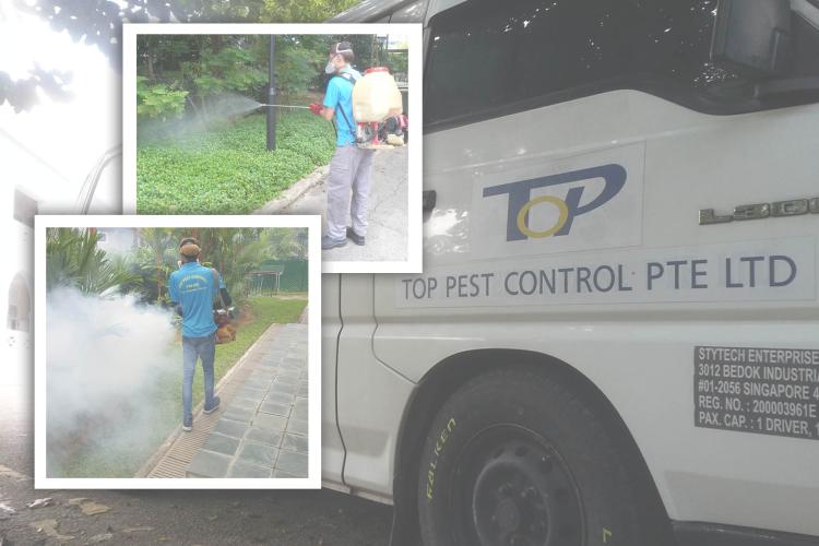 TOP PEST CONTROL