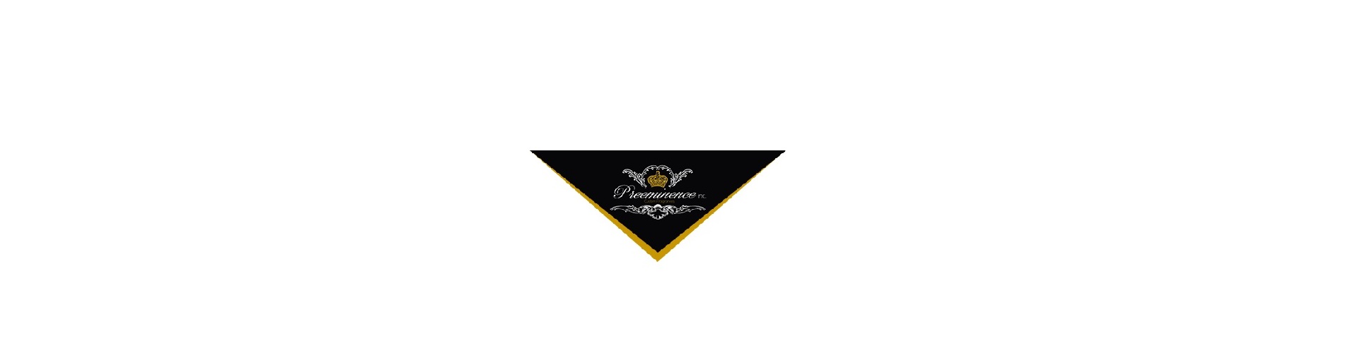 Preeminence Inc