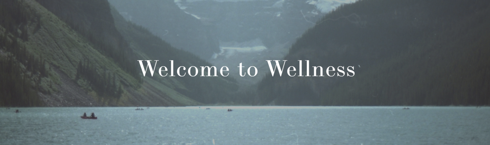 WHOLE Wellness Therapy Services
